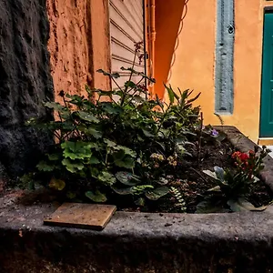 Little House , Naples Italie